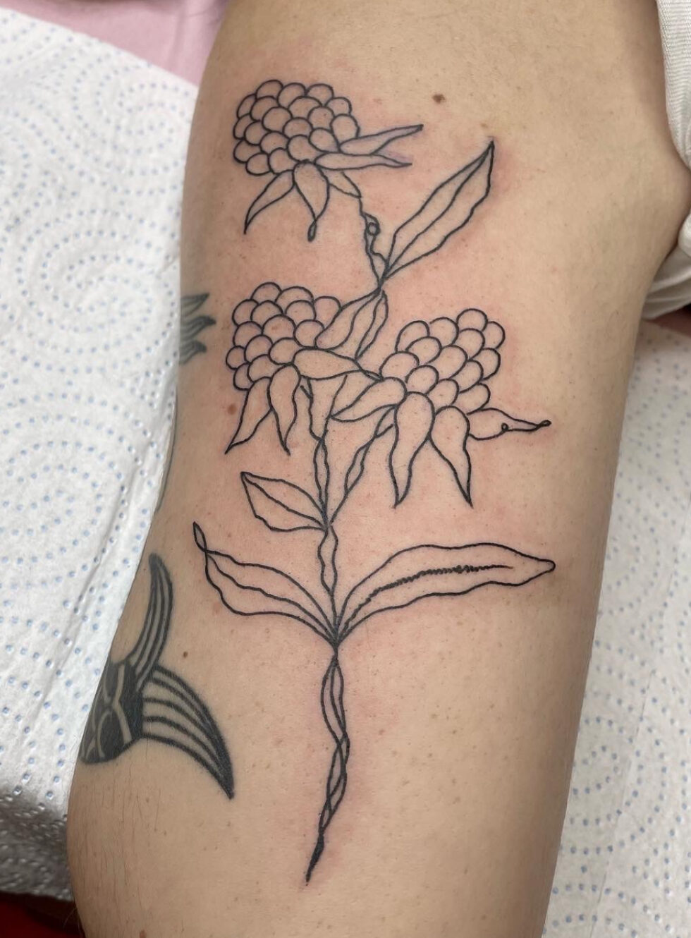 galeria-masonry-traballos-12