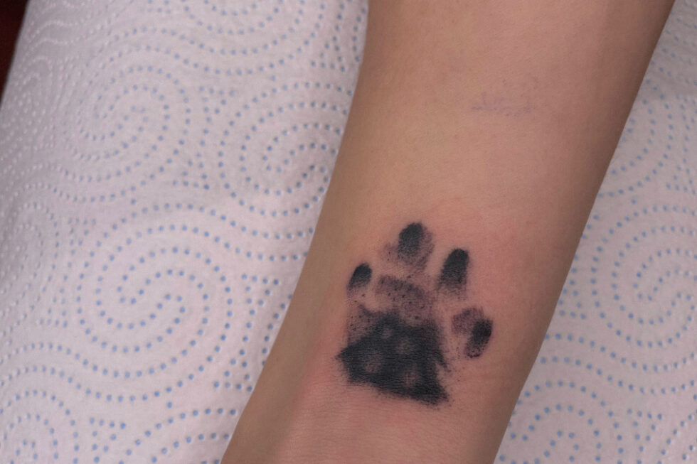 galeria-masonry-traballos-7