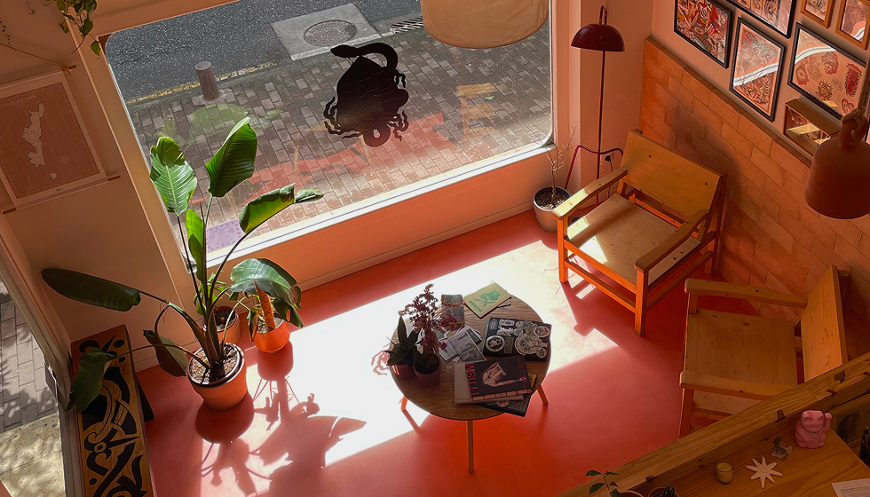 asi-naceu-semente-entrada